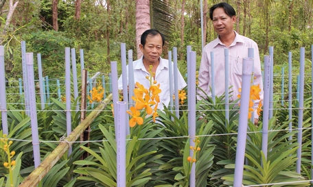 Người dân chuyển đổi cơ cấu cây trồng theo hướng nông nghiệp đô thị với nhiều mô hình hiệu quả.