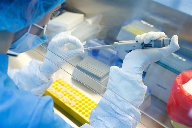  Nhà khoa học nghiên cứu vaccine phòng COVID-19 tại một công ty công nghệ sinh học ở Saint Petersburg, Nga ngày 11/6/2020. Ảnh: Reuters/TTXVN