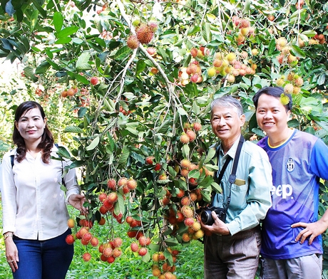 Người dân xã Hòa Ninh đã và đang xây dựng các vườn cây ăn trái đảm bảo an toàn thực phẩm và phát triển kinh tế hợp tác.