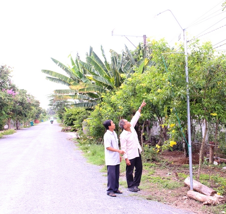 Cán bộ và người dân địa phương phấn khởi khi có tuyến đường chiếu sáng.