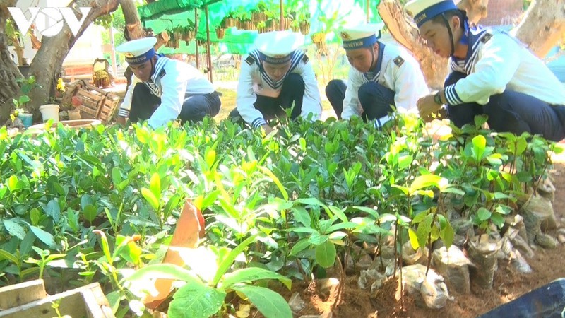 Vườn ươm thanh niên của đảo Trường Sa. 