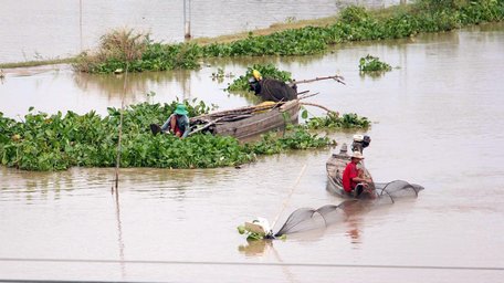 Mặc dù lũ đang ở mức thấp nhưng dưới tác động của bão, áp thấp nhiệt đới gây mưa lớn có thể diễn biến khó lường.