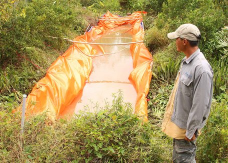 Thực thi phương châm “4 tại chỗ”, nguyên tắc “3 sẵn sàng” nhằm nâng cao hiệu quả ứng phó thiên tai. Trong ảnh: Người dân đã có bước chủ động trong bảo vệ sản xuất, phòng chống thiên tai.