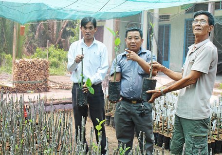  Chỉ tính riêng vụ tết vừa rồi, anh Xuân (bìa phải) bỏ túi rủng rỉnh hơn 40 triệu đồng từ việc ươm và tháp cây mít giống Malaysia. 