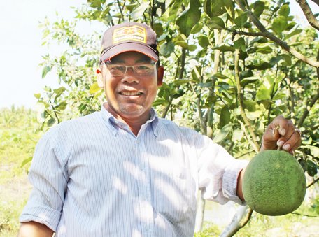 Nhờ chuyển đổi cơ cấu cây trồng hiệu quả, giúp nhiều nông hộ xã Trung Nghĩa vươn lên khấm khá.