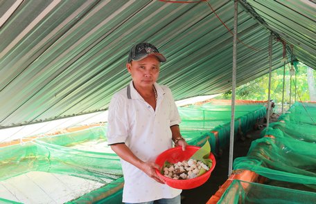 “Hiện nhu cầu mua ốc giống và thương phẩm rất nhiều nên nhiều đơn hàng của khách phải xếp hàng chờ”- anh Tính phấn khởi nói.