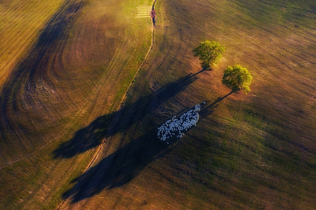 Trò chơi đuổi bóng tại Tuscany, Italy. (Tác giả: Marek Biegalski)