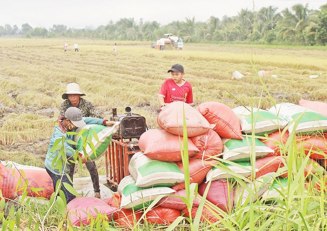 Phong trào thi đua góp phần nâng cao đời sống vật chất và tinh thần của người dân nông thôn, xây dựng nền nông nghiệp phát triển theo hướng hiện đại và bền vững.