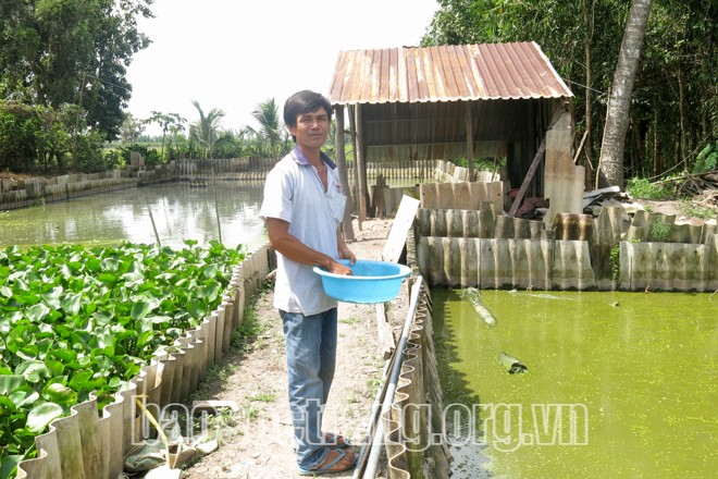 Anh Lợi bên ao nuôi ba ba sinh sản của gia đình. Ảnh: THÚY LIỄU