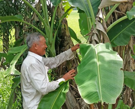 Ông Lưu Kế Thành đứng tại vị trí phát hiện tên cướp có vũ khí.