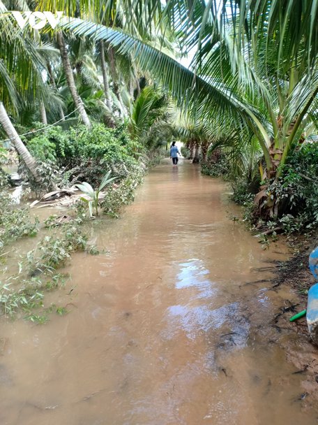  Đoạn đê bao bị tràn.