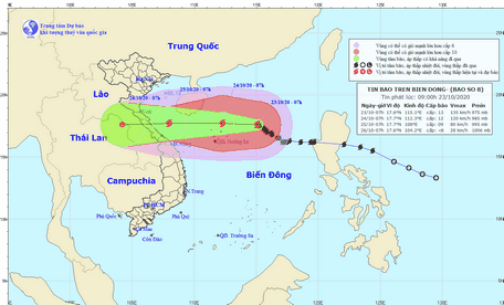  Đường đi của bão số 8.