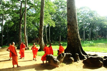 Mấy chú tiểu của chùa Âng thư giãn dưới hàng cây cổ thụ.