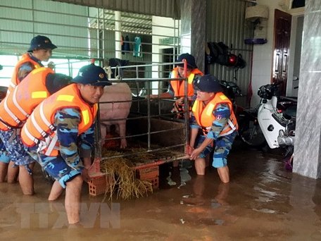 Cán bộ, chiến sỹ Hải đội 102 giúp bà con dọn dẹp nhà cửa khi nước rút. (Ảnh: TTXVN)