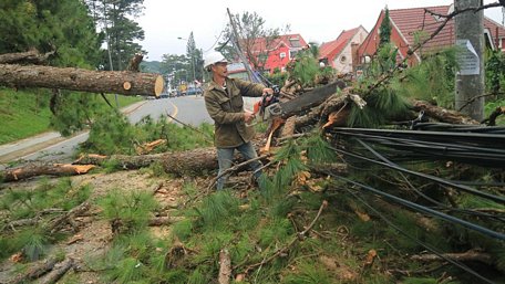 Miền Trung Việt Nam phải hứng chịu hàng loạt cơn bão trong năm nay. (Ảnh: Đặng Tuấn/TTXVN)