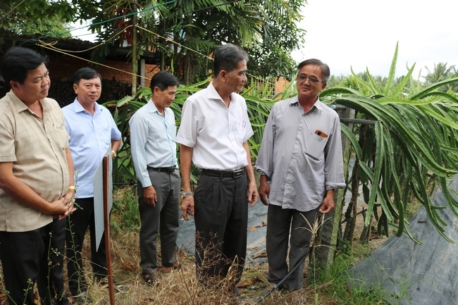 Khảo sát tại Cơ sở sản xuất thanh long vàng tổ yến Vạn Phước (xã Hậu Lộc).