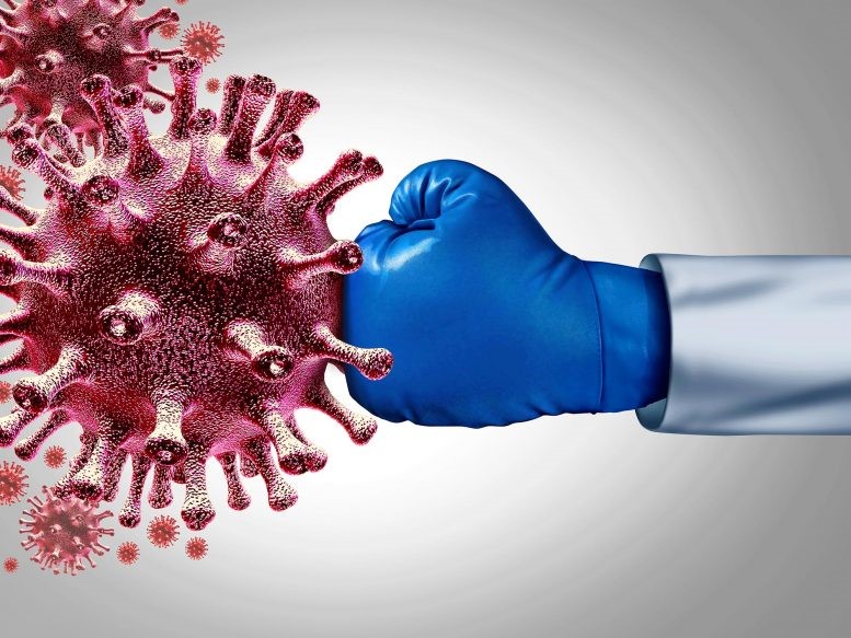 Nghiên cứu mới giải tỏa lo lắng chủng đột biến của virus SARS-CoV-2 có thể vô hiệu hóa các vaccine Covid-19 đang phát triển.