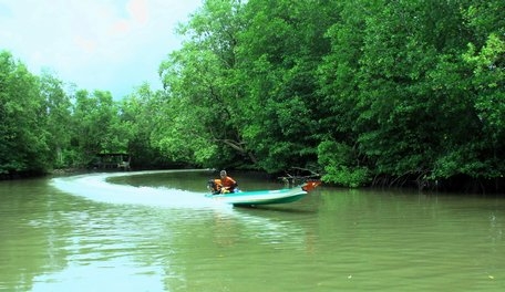 Vỏ lãi xé nước giữa sông, rạch chằng chịt ở Đất Mũi Cà Mau.