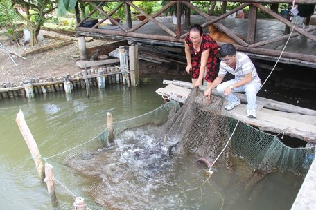 Du khách chọn hải sản tươi sống và được chủ hộ chế biến theo nhu cầu.