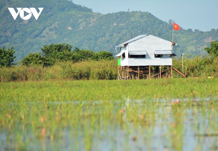 Bất kể ngày, đêm hay mưa gió các anh chiến sỹ luôn túc trực đủ quân số để chủ động phòng ngừa dịch bệnh kết hợp với công tác phòng chống buôn lậu trong dịp cuối năm. Tuyến biên giới Tây Nam với hàng trăm tổ chốt phòng chống dịch Covid-19.