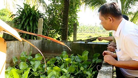 Tham quan mô hình nuôi cua đinh nhà ông Huỳnh Văn Tiếng.