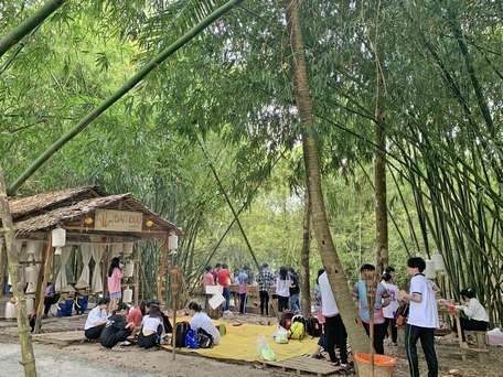 Một góc Khu du lịch Bambo Garden.