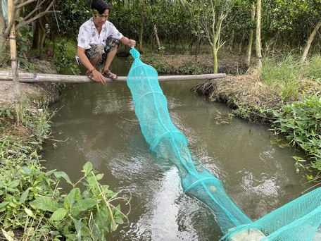 Một hôm tôi về vườn đi dỡ dớn đặt tép rong.