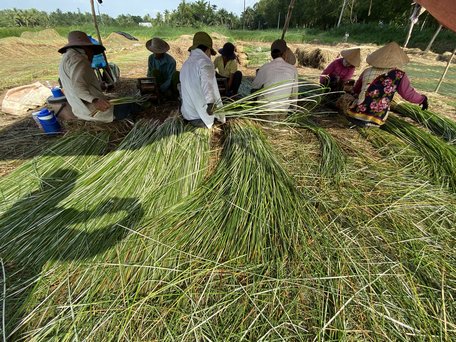 Đẩy mạnh phát triển đối tượng tham gia BHXH, BHYT, đặc biệt là tham gia BHXH tự nguyện, BHYT hộ gia đình... là một trong các nhiệm vụ chính trị quan trọng của chính sách BHXH, BHYT.