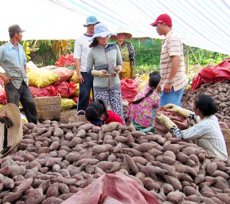 Huyện Bình Tân đang khuyến khích phát triển sản xuất, phát triển kết cấu hạ tầng kinh tế- xã hội ở nông thôn để hướng tới xây huyện NTM.