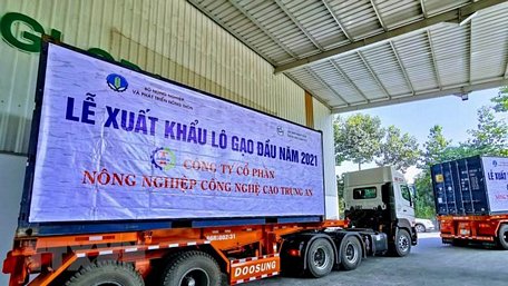  Xe chở lô hàng gạo xuất khẩu đầu năm 2021 của Công ty Cổ phần Nông nghiệp công nghệ cao Trung An chuẩn bị ra cảng. (Ảnh: Thanh Liêm/TTXVN)