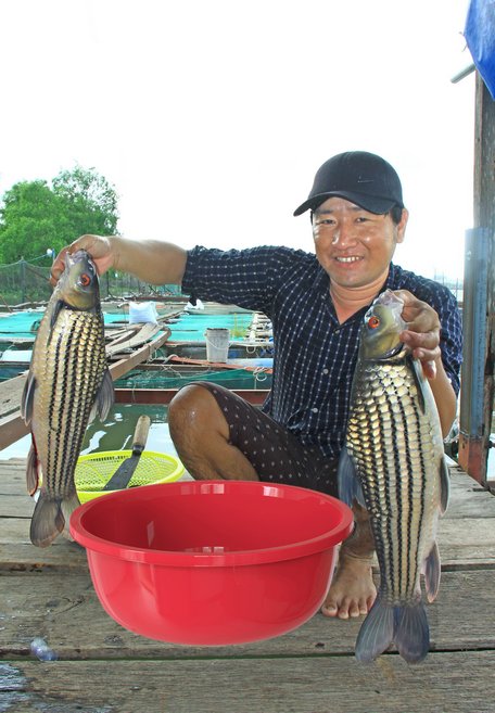 Sản phẩm cá bè trên dòng Cổ Chiên vừa lên khỏi mặt nước đã nhảy tưng lên mạng chào hàng trong tích tắc.