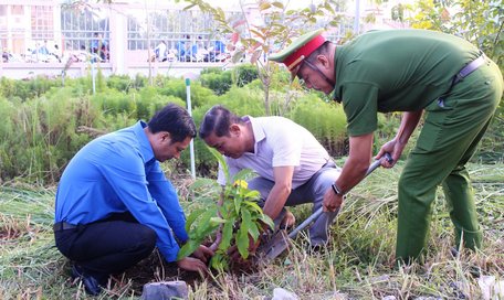 Trồng cây xanh tạo cảnh quan môi trường địa phương thêm xanh, đẹp.