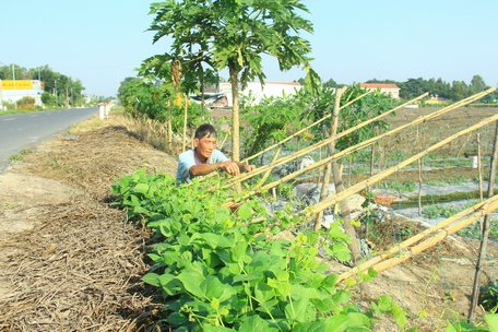 Cho vay nông nghiệp, nông thôn hiện chiếm 47%/tổng dư nợ.