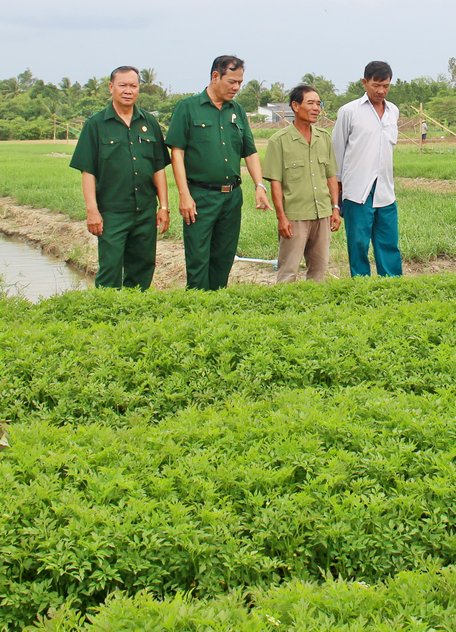 Hội Cựu chiến binh tỉnh sẽ tạo điều kiện cho cựu chiến binh, cựu quân nhân học tập, tham quan rút kinh nghiệm để phát triển sản xuất.