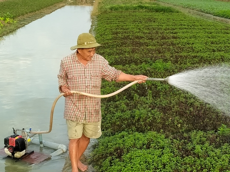 Anh Trần Văn Hiền đang tưới rẫy.