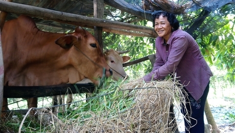 Cô Thạch Thị Bé Hai- mẹ em Kim Thanh Hoàng (ấp Thôn Rôn, xã Trà Côn- Trà Ôn) đón tết tại nhà.