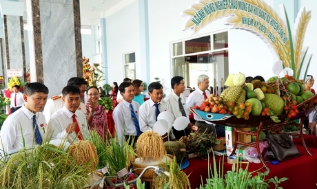 Cơ cấu giá trị sản xuất nông nghiệp- thủy sản của huyện Long Hồ chuyển dịch đúng hướng. Năm 2020, nông nghiệp chiếm gần 65,9%, thủy sản chiếm gần 33,8%. Ảnh: Xuân Tươi