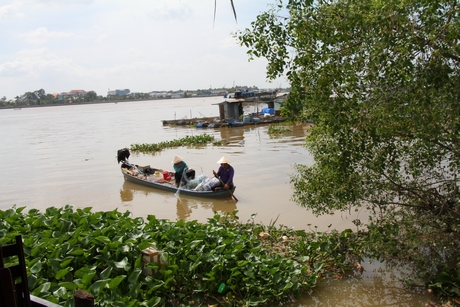 Đoạn sông Cổ Chiên đánh bắt nhiều tôm cá, được đưa vào khai thác phục vụ ăn uống rất hấp dẫn du khách. Ảnh: Ngọc Trảng