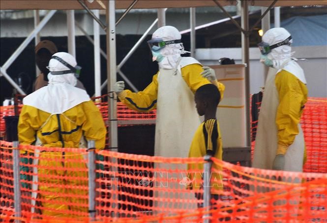 Nhân viên y tế hướng dẫn bệnh nhân nhiễm virus Ebola tại trung tâm điều trị ở Conakry, Guinea, ngày 21/8/2015. Ảnh tư liệu: AFP/TTXVN