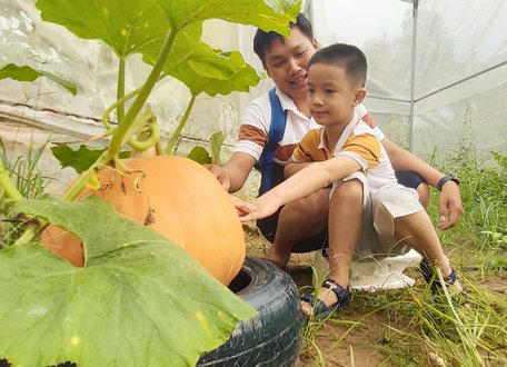 Quả bí ngô khổng lồ của Peace farm thu hút nhiều gia đình đưa trẻ nhỏ đến tham quan.