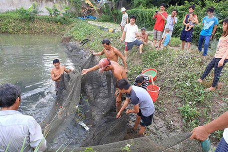  Tết, người ta hồ hởi gọi nhau tháo đìa ăn Tết - Ảnh: N.T.