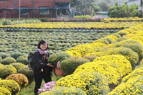 Nụ cười xuân.