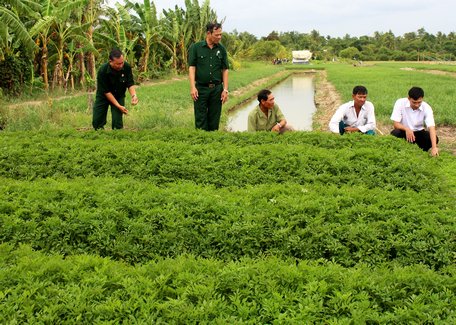 Qua phong trào thi đua yêu nước, các cấp hội đã góp phần tích cực vào phát triển kinh tế- xã hội địa phương.