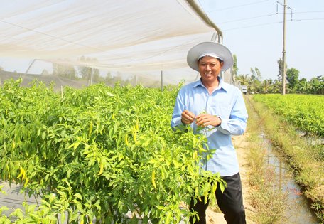 Anh Đặng Hoàng Minh cho rằng diện mạo xã Tân Bình đã thay đổi rất nhiều.