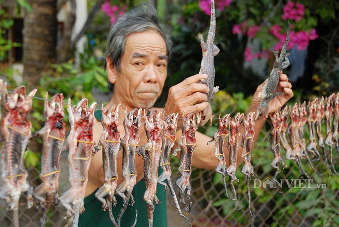  Còn khô tắc kè, dịp tết vừa qua các dân nhậu cũng tìm mua, đa phần mua về dùng để ngâm rượu uống. Bình quân 3kg khô tắc kè cho ra 1kg khô, giá bán tính con từ 50.000 đến 60.000 đồng/kg.