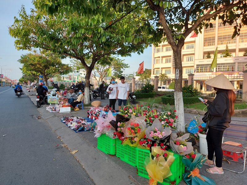 Hoa được bày bán tại nhiều cửa hàng cũng như ven các tuyến đường lớn nội ô TP Vĩnh Long: Lê Thái Tổ và Nguyện Huệ ( Phường 2), Phó Cơ Điều (Phường 3), Trưng Nữ Vương (Phường 1)…