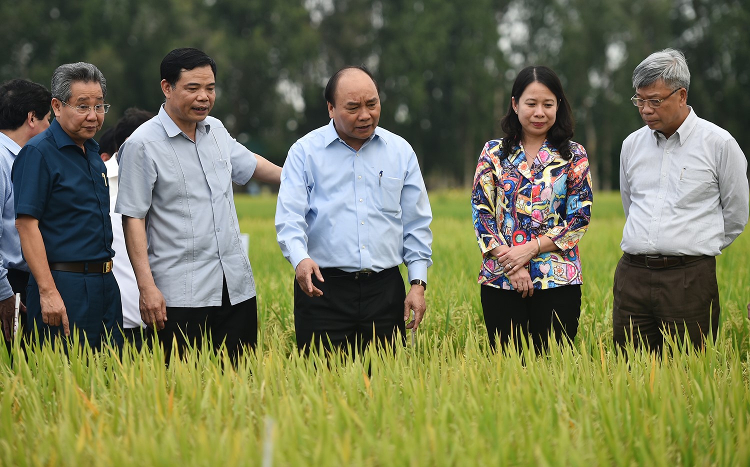 Ngày 14/3/2017, Thủ tướng Nguyễn Xuân Phúc thăm các cánh đồng mẫu, trồng các giống lúa mới của Trung tâm Nghiên cứu nông nghiệp Định Thành, Tập đoàn Lộc Trời tại An Giang.
