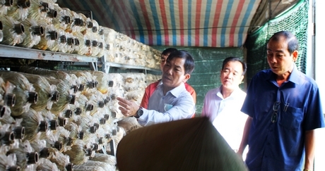 Xã Mỹ Phước đang tập trung vận động người dân phát triển sản xuất để nâng cao chất lượng cuộc sống, tiến tới xây NTM kiểu mẫu.