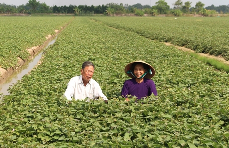 Chuyển đổi cơ cấu kinh tế đạt được một số kết quả tích cực, nhất là trong nông nghiệp.