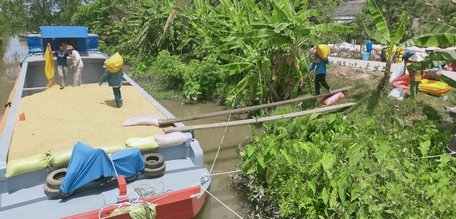 Nhiều nơi thắng lợi vụ Đông Xuân.